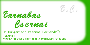 barnabas csernai business card